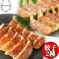 餃子 冷凍 大容量 えび しそ パクパク食べられる! 餃子 2種 60個 パリッと香ばしい エビ餃子 & 鶏しそ餃…