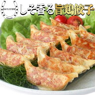 ニンニク控えめ 餃子 60個 パリッと香ばしい しその風味香る とり餃子【赤穂の焼塩付き】生餃子 創作餃子…