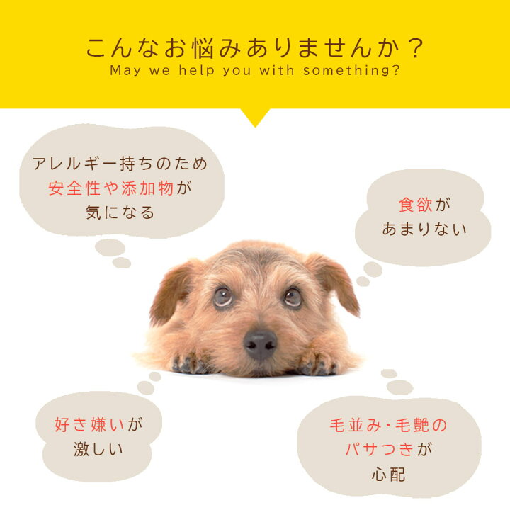 楽天市場 チーズダイス 80g アニマルシェ公式 獣医師監修 40g 2袋 普通郵便 犬用 ペットおやつ国産 無添加 無着色 犬用おやつ ペット おやつ フリーズドライ チーズ チャック付き袋 犬用 猫用 犬 猫 国産チーズ 低カロリー ストレス解消 おやつ 高タンパク 送料