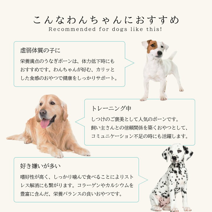楽天市場 うなぎボーン 100g アニマルシェ公式 獣医師監修 犬用 ペットおやつ 国産 無添加 無着色 犬用おやつ ペット おやつ チャック付き袋 犬用 猫用 犬 猫 国産 低カロリー うなぎ 鰻 骨 魚 おやつ 高タンパク 高たんぱく 低脂質ペットおやつ 100g 50g 2袋