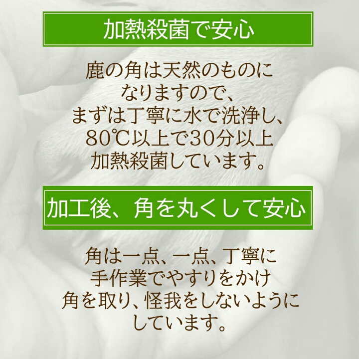 楽天市場 獣医師監修 鹿の角 半割れ 約10cm 鹿角 熱消毒 角は丸く加工済み 無添加 長持ち 歯磨き小型犬 中型犬 用 国産 天然ジビエ 送料無料 北海道 沖縄 離島を除く Bayu Store