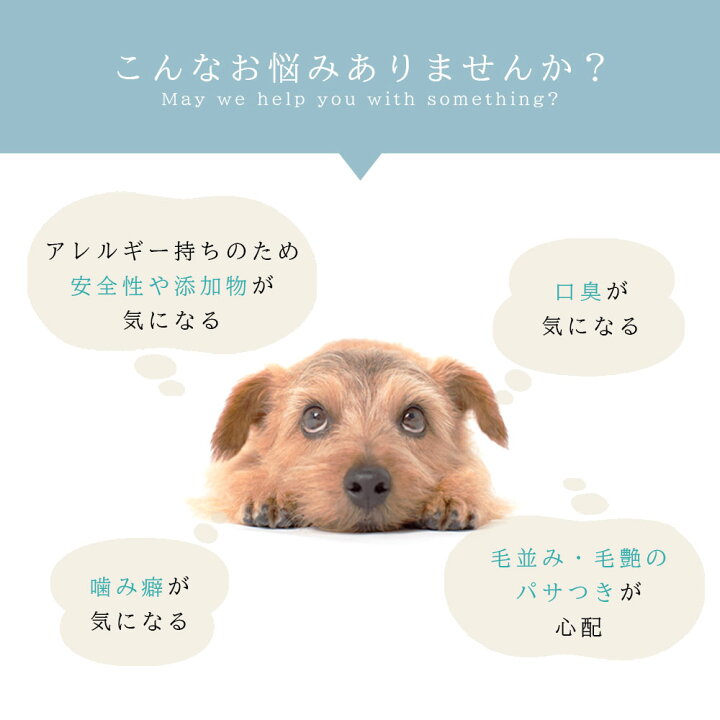 楽天市場 うなぎボーン 100g アニマルシェ公式 獣医師監修 犬用 ペットおやつ 国産 無添加 無着色 犬用おやつ ペット おやつ チャック付き袋 犬用 猫用 犬 猫 国産 低カロリー うなぎ 鰻 骨 魚 おやつ 高タンパク 高たんぱく 低脂質ペットおやつ 100g 50g 2袋