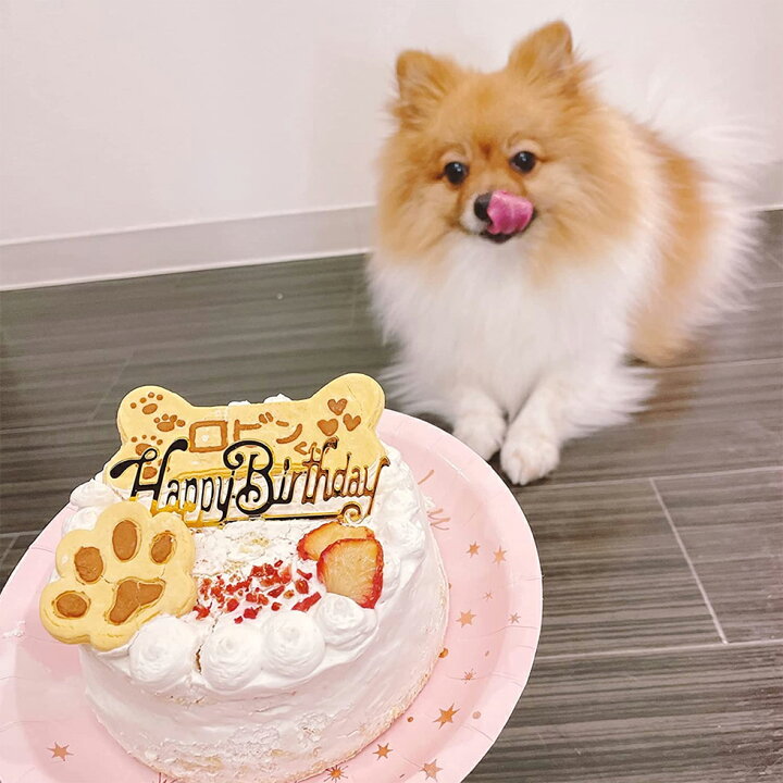 楽天市場 犬用 誕生日ケーキ 12cm 4号サイズ 小麦粉不使用のグルテンフリーケーキ チーズ味 チーズ 名入れ可 名前 プレート付き 犬用ケーキ 犬用 小型犬 中型犬 大型犬 犬のおやつ 犬用 犬 ケーキ バースデーケーキ ペット ケーキ 冷凍便 北海道 沖縄 離島は送料が