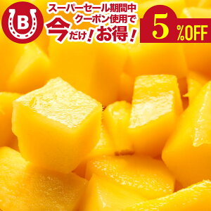 n Ⓚ}S[ 1kg (500g×2) xgiY }S[ Ⓚ Jbgς n}S[ sgp ZȊÂ yJ}S[ X[W[ [Og gbsO q  fU[g  