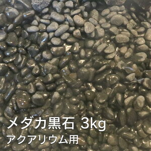  CAEgXg[LO1ʊl! ANAEp _J  3kg p  ANAE CAEg Xg[   x^ rIg[v  DIY   lC  킢