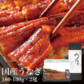 国産 うなぎの蒲焼 大サイズ (160-180g×2尾) 父の日 2026 ギフト 愛知県三河一色産【うなぎ専門店小林商店】タレ付 備長炭 本格炭火焼き 贈答品 ご自宅用 誕生日 内祝い お祝い 国産 ウナギ 鰻 蒲焼 送料無料