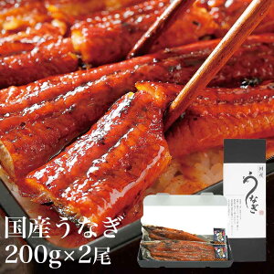 V Ȃ̊Ă TCY NX}X 2025 Mtg (200g×2) Y mO͈FYyȂXяXz^t Y {iYΏĂ i p 䒆  j ypN