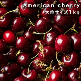 アメリカ産 アメリカンチェリー 約1kg チェリー 大粒 大容量 ( 国産さくらんぼ 2Lサイズ強 ) 品種お任せ 9.5-10row 大粒サイズ 果物 旬のフルーツ プリッとはじける食感 分厚い果肉 濃くて甘酸っぱい さくんぼ ダークチェリー チェリー ※品種はご指定いただけません