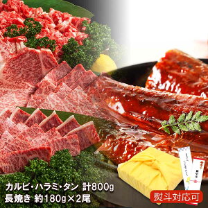 Y Ȃ 160-180g×2  3̕ ēZbg y~Zbgz蕨 Mtg ʏw   䒆 Mtg Ε j i Y Ⓚ