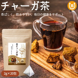 チャーガ茶 無添加 ティーバッグ (2g×20包) チャーガ 【 香ばしくて飲みやすい 】 カバノアナタケ茶 カバノアナタケ 健康茶 ポリフェノール β-グルカン ミネラル 豊富 健康サポート ノンカフェイン 送料無料