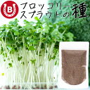 ブロッコリースプラウト種子(300ml) 高濃度 スルフォラファン含有 発芽率 92％ 品種 カラブリーゼ種 有機栽培種子 家…