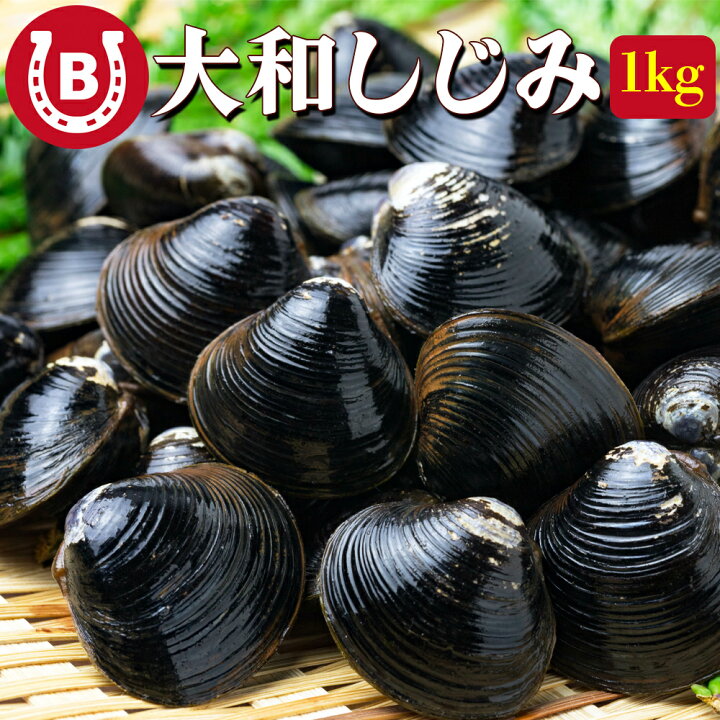 楽天市場】宍道湖産 大和しじみ Lサイズ 約1kg しじみ 殻付き 砂抜き 