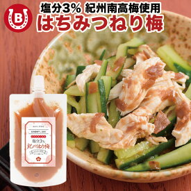 ねり梅 はちみつ梅 1000円ポッキリ 梅 塩分3％【リピート率No.1】 ご飯のお供 介護食 チューブ おにぎりの具 ＼BAYU STOREのはちみつ梅がそのままの味で練り梅に／ 減塩 紀州南高梅 200g 梅肉 梅びしお 梅醤 ネコポス