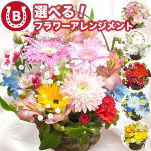  IׂJ[ hV̓ 2025 Mtg  t[AWg MTCY ܂ AW  AWg ؂ AW  Mtg v[g ԃMtg Ԓa a LO