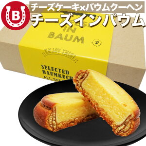 `[YCoE 5   2025 Mtg y `[YP[L × oEN\w zⓀ  XC[c mَqMtg  XC[c َq Mtg  Ăَq xCNh`[Y 