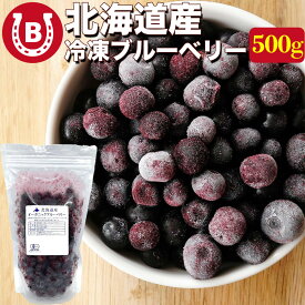 ブルーベリー 北海道産 冷凍 500g オーガニック 有機 JAS認証 【砂糖不使用 保存料添加物不使用】小分け 国産 ベリー 国産ブルーベリー 冷凍フルーツ 冷凍ブルーベリー 冷凍果実 国産フルーツ オーガニックブルーベリー 冷凍食品 送料無料 ※一部地域を除く