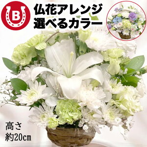 IׂJ[  t[AWg  MTCY C   d ~ ފ    l\  Ȃ    ꕔn