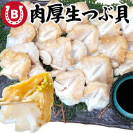 生 つぶ貝 開き 500g 肉厚 コリコリ 冷凍 つぶ貝開き 生食用 刺身 寿司 海鮮丼 炙り バイ貝 ばい貝 ツブ…
