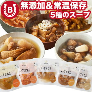 無添加 常温保存可能 スープ 5種 カレー おでん 豚汁 内野屋 uchipac レトルト スープ スープオカズ 長期保存 保存料着色料不使用 非常食 常備食 保存食 備蓄 防災 レトルトおかず 食べるスープ