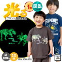 【P10倍 18～22日】光る パジャマ キッズ 半袖 男 男の子 短パン 綿100 半袖パジャマ 子供 夏 ジュニア 恐竜 カブトム…