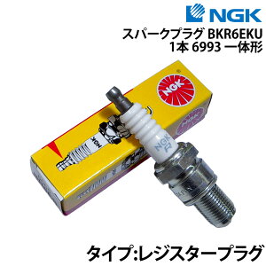 NGK �X�p�[�N�v���O BKR6EKU�s1�{�t �i10�j �D�O�@�p �����e�i���X�p�i ���[�J�[�ʓK���\ �����e�i���X