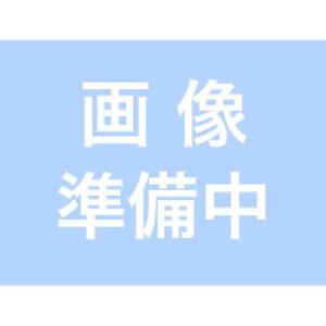NGK(�G�k�W�[�P�[) �X�p�[�N�v���O BPR7HS 1�P�[�X �s10�{�t NGK�X�p�[�N�v���O �����e�i���X�p�i