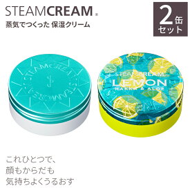【夏季限定】スチームクリーム【公式】Day＆Nightセット（ハッカ＆アロエのUVクリーム 75g＋ハッカ＆アロエ レモン 75g） SPF33 PA+++ 紫外線対策 ひんやり さっぱり クール 清涼 爽快 感 爽やか 夏 汗 全身 顔 からだ 用 夏 福袋