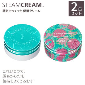 【夏季限定】スチームクリーム【公式】Day＆Nightセット（ハッカ＆アロエのUVクリーム 75g＋ピンクグレープフルーツ 75g） SPF33 PA+++ 紫外線対策 ひんやり さっぱり クール 清涼 爽快 感 爽やか 夏 汗 全身 顔 からだ 用 夏 福袋