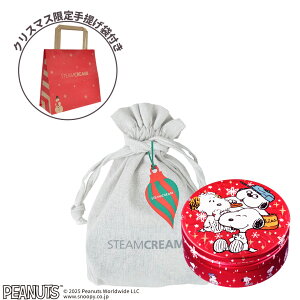 _11/25|Cg10{^ X`[N[yzNX}X Mtg nhN[ X`[N[MtgZbg 75g S񂰕t NX}XfUC { nhPA ێN[