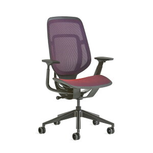 Steelcase J[}iKarmanjX`[P[X@J[} bV`FA ʍ 12Nۏ bVNX ItBX `FA ֎q fXN [N