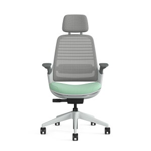 yzSteelcase Series 1 J[{j[g wbhXgt X`[P[X V[Y  ItBX`FA [J[i 12Nۏ e[N
