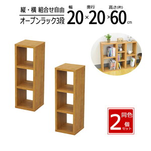 y zy2ZbgzbN 20cm Ԏ[ XpCXbN I[vbN XbN X [ I Lb` fBXvCbN  20 s20 60cm uE OPR-2060T*2