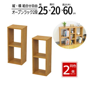y zy2ZbgzbN 25cm Ԏ[ XpCXbN I[vbN XbN X [ I Lb` fBXvCbN  25 s20 60cm uE OPR-2560T*2