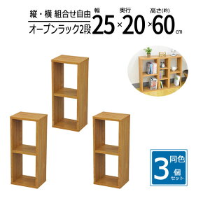 y zy3ZbgzbN 25cm Ԏ[ XpCXbN I[vbN XbN X [ bN I Lb` fBXvCbN  25 s20 60cm uE OPR