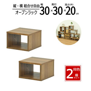 y zy2ZbgzbN 30cm Ԏ[ XpCXbN I[vbN XbN X [ bN I Lb` fBXvCbN  30 s30 20cm EHib