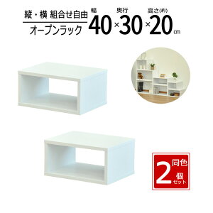 y zy2ZbgzbN ܎[ 40cm Ԏ[ XpCXbN I[vbN XbN X [ I Lb` fBXvCbN  40 s30 20cmzC