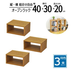 y zy3ZbgzbN 40cm Ԏ[ XpCXbN I[vbN XbN X [ I Lb` fBXvCbN  40 s30 20cm uE OPR-4020BR*3