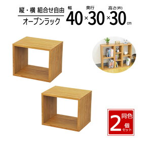 y zy2ZbgzbN 40cm Ԏ[ XpCXbN I[vbN XbN X [ I Lb` fBXvCbN  40 s30 30cm uE OPR-4030BR*2