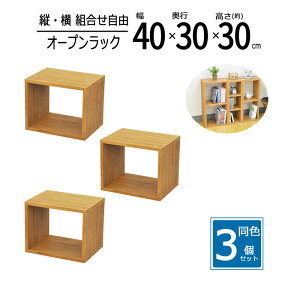 y zy3ZbgzbN 40cm Ԏ[ XpCXbN I[vbN XbN X [ I Lb` fBXvCbN  40 s30 30cm uE OPR-4030BR*3