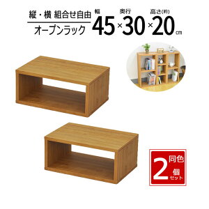 y zy2ZbgzbN 45cm Ԏ[ XpCXbN I[vbN XbN X [ bN I Lb` fBXvCbN  45 s30 20cm uE OPR