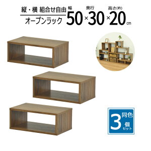 y zy3ZbgzbN 50cm Ԏ[ XpCXbN I[vbN XbN X [ I Lb` fBXvCbN  50 s30 20cm EHibg OPR-502