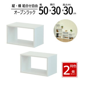 y zy2ZbgzbN 50cm Ԏ[ XpCXbN I[vbN XbN X [ bN I Lb` fBXvCbN  50 s30 30cm zCg OPR