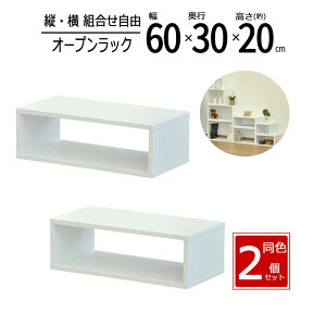 y zy2ZbgzbN 60cm Ԏ[ XpCXbN I[vbN XbN X [ bN I Lb` fBXvCbN  60 s30 20cm zCg OPR