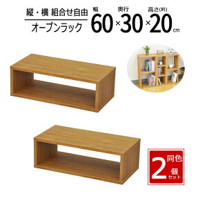 y zy2ZbgzbN 60cm Ԏ[ XpCXbN I[vbN XbN X [ I Lb` fBXvCbN  60 s30 20cm uE OPR-6020BR*2