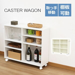 S LX^[t 75cm s23cm 65cm [S zCg ؖ VFtS ړ t I Lb` rO q ȏ[ fXN TChS 