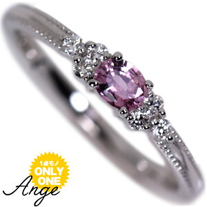 PT900 v`i×pp`ATt@CA×_ChyAngezAW@v~AO