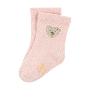 yV^CtzC sNq xr[ v[g Mtg 蕨 oYj