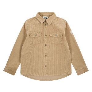 yV^CtzR[fCVc x[Wq xr[ v[g Mtg 蕨 oYj