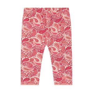 yV^CtzMX s[`ubTq xr[ v[g Mtg 蕨 oYj