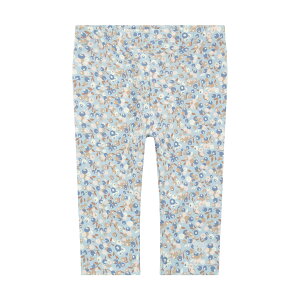 yV^CtzMX u[iԕjq xr[ v[g Mtg 蕨 oYj